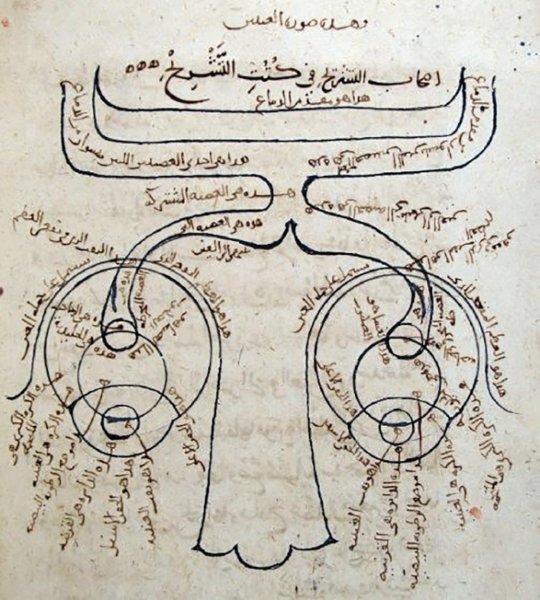 Diagramm des Aufbaus des menschlichen Auges nach Ibn al-Haytham, aus einer Abschrift des Kitab al-Manazir, spätes 11. Jahrhundert.